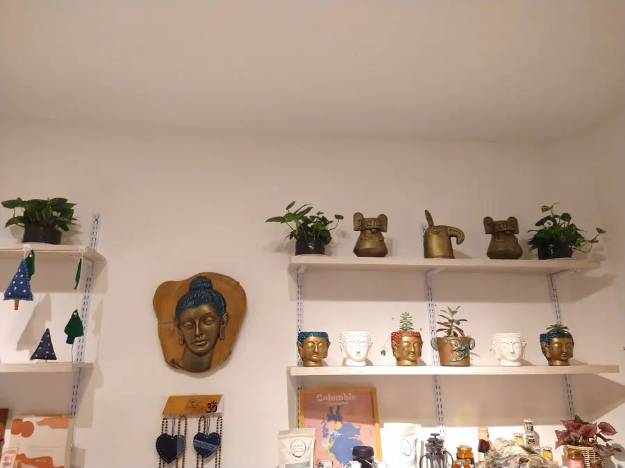 Repisas con productos naturales, plantas y piezas decorativas