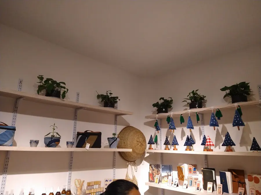 Repisas blancas con plantas, cerámica, accesorios y productos de marcas locales